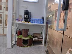-爱洗澡的猫(天河路店)