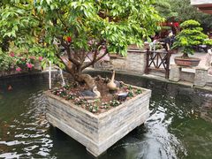 景观位-猪肉婆私房菜(容桂总店)
