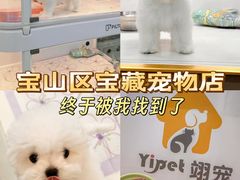 -翊宠yipet猫狗购宠庄园