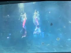 -福州罗源湾海洋世界旅游区