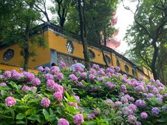 -惠山古镇·寄畅园