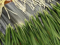 -竹园竹升面(西关总店)