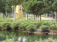 -长白岛森林公园