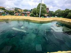 -上海玛雅海滩水公园