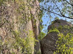 -剑门关风景区