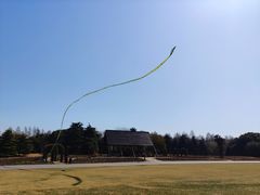 -上海滨江森林公园