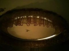-逸鼎盛世轻奢SPA•泡澡(双碑店)