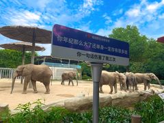 景点-常州淹城野生动物世界
