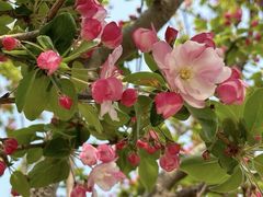 -元大都城垣遗址公园