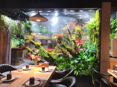 -森味薪火烧•烧鸟居酒屋•日本料理(望京店)