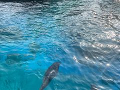 -珠海长隆海洋王国