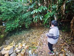 -福清灵石山国家森林公园