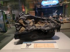 -香港科学馆