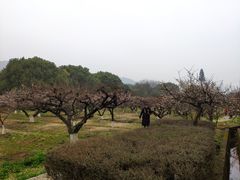 -白马涧龙池景区