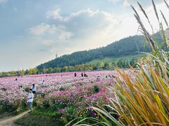 -径山花海