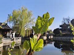 -台儿庄古城
