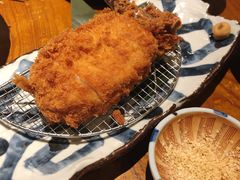 -堂本家洋食别馆·炸猪排(中心城店)