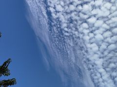 -广东金融学院(校本部)