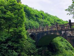 -凤栖山