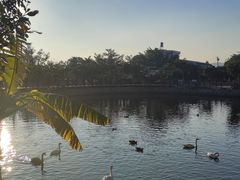 -泉州海丝野生动物世界