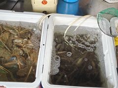 -有间冰室(侨港风情街店)