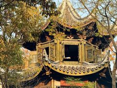 -上海市保健医疗中心