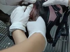 -安安宠物医院(情缘分院)