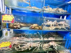 -蚝专家(北滘店)