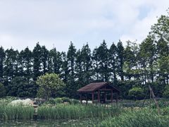 -上海长兴岛郊野公园