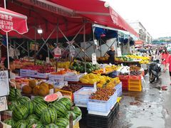 -红星农博物流中心