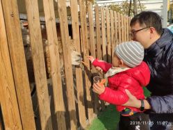 -萌宠亲子动物乐园(槐房万达店)