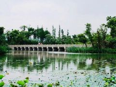 -西溪国家湿地公园