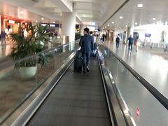 -上海浦东国际机场-T2航站楼
