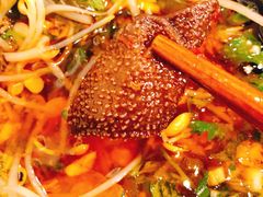 鲜毛肚-吃皮火锅馆(苏宁店)
