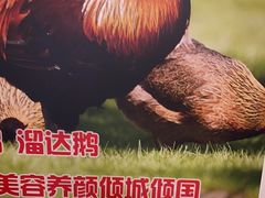 -锅老头海鲜铁锅炖