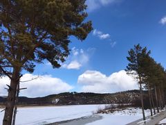 -北极村旅游风景区