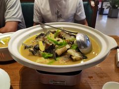 -饭怕鱼(阳光100店)