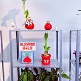万事青松 好事花生 愉快玩耍的周末日常
