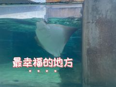 -新加坡水上探险乐园