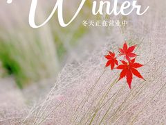 -花开海上生态园