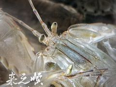 -来之顺海鲜菜馆·青岛菜·始于1993(栈桥店)