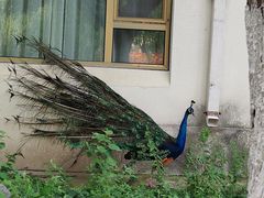 -舜耕山庄四时万和自助餐厅