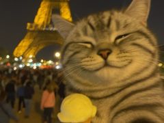 -纳吉亚猫专科动物医院博雅分院