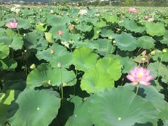 -古田会议纪念馆