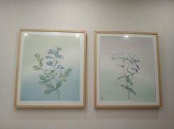 -颜蕾医美·黄金微针·水光·玻尿酸·超声炮·抗衰中心