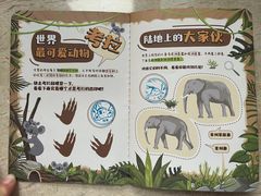 -广州长隆野生动物世界