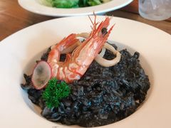 墨鱼饭-Daisy雏菊