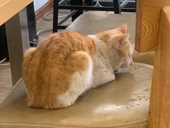 -WATER CAFE(广厦店)