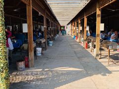 -亲兄弟真人CS团建拓展基地