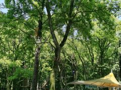 -WeLope紫金山探险公园